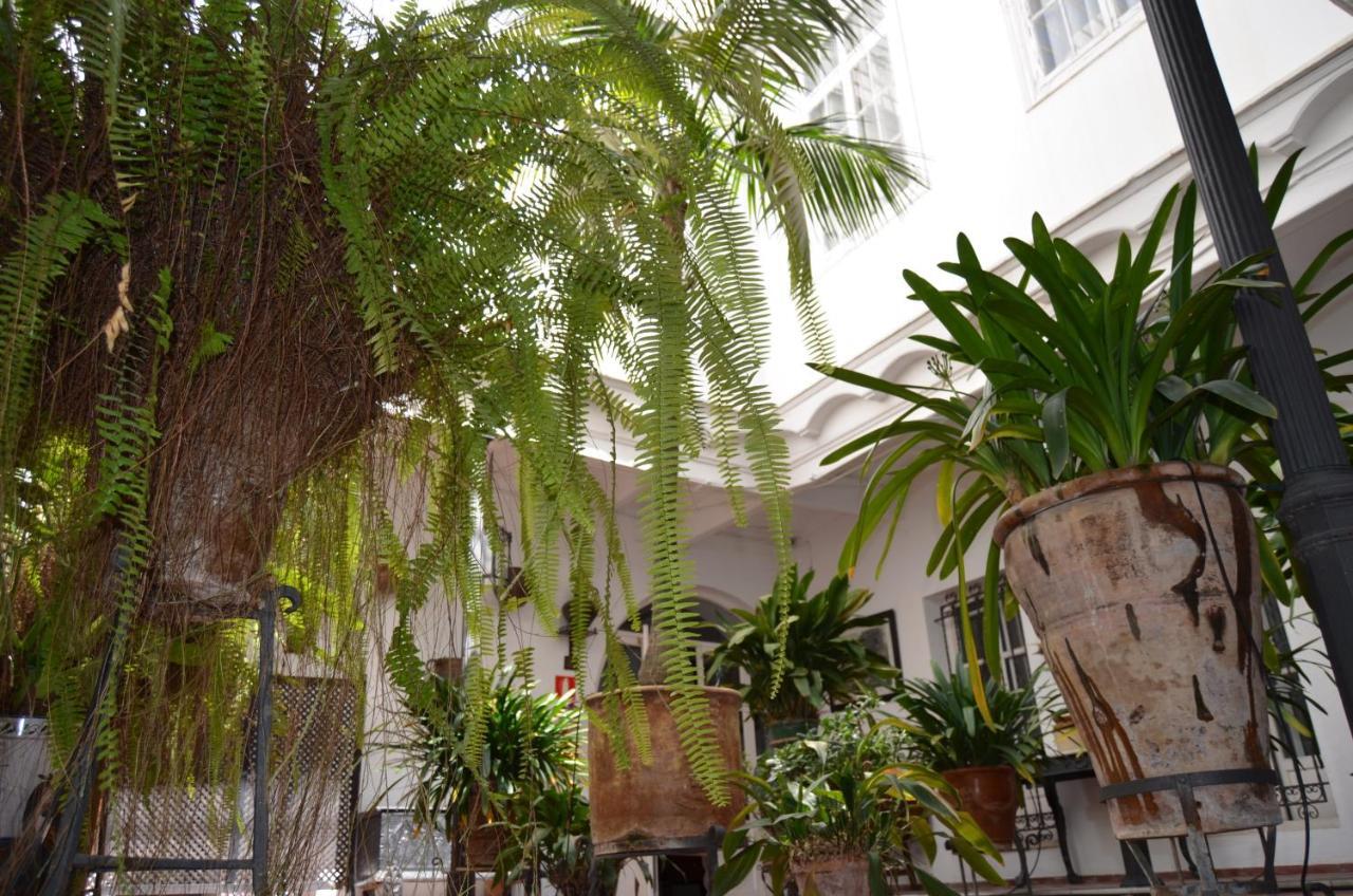 Lujoso Y Tranquilo Apartamento En El Centro Sanlucar de Barrameda Ngoại thất bức ảnh